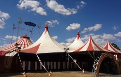 Fiumicino, arriva il circo con gli animali...contro la volontà di Montino
