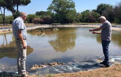 Fiumicino, re-styling al laghetto di Villa Guglielmi