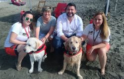 Ostia, cani bagnino: salvate due persone