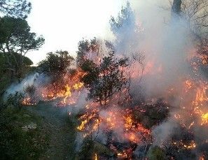 L'Aquila, disastro ambientale sulle montagne per il fuoco