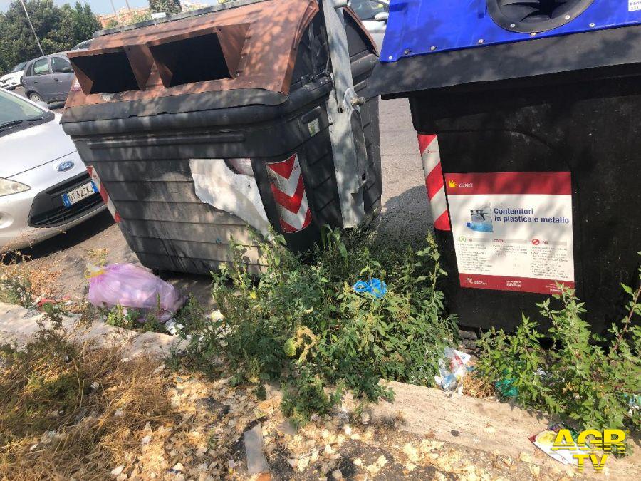 Ostia, marciapiedi impercorribili per le erbacce Ostia, marciapiedi impercorribili per le erbacce
