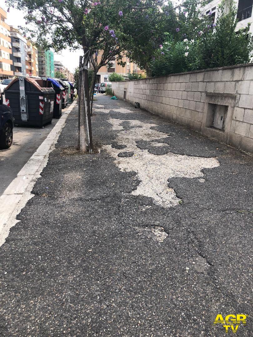Ostia, marciapiedi impercorribili per le erbacce Ostia, marciapiedi impercorribili per le erbacce