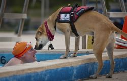 Fiumicino, inaugurato un corso di nuoto per disabili