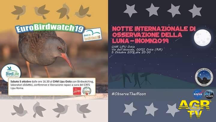 Notte internazionale della luna&Euro birdwatch 2019