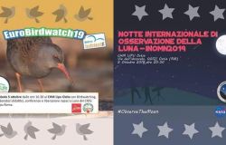 Notte internazionale della luna&Euro birdwatch 2019