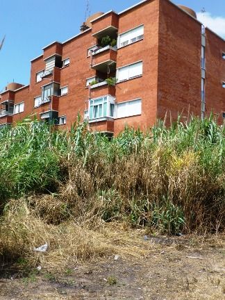 Fiumicino, no agli sfratti di via Berlinguer