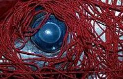 Greenpeace: revoca decreto sulle ferrettare è un colpo a credibilità dell'italia