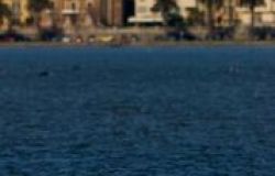 Urban Natura, domani la Festa della natura in città