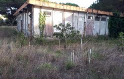 SI X Municipio, ristrutturare l'ex-nido abbandonato