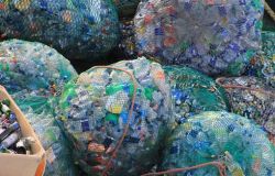 Regione Lazio, protocollo su riduzione imballaggi e sprechi alimentari