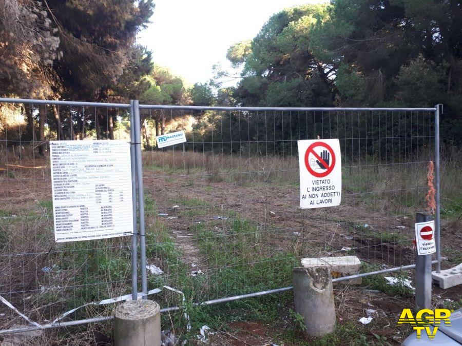 Ostia, pineta di Procoio,nessuna notizia sul programma degli abbattimenti