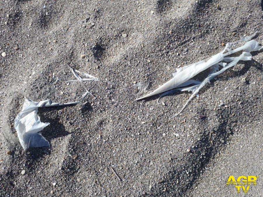 Ostia, pubblicata Ordinanza stagionale, spiagge invase dalla plastica