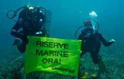 Greenpeace: sos mare