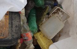 Fiumicino, barriera acchiappa plastica sul Tevere