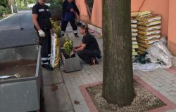 Fiumicino, piante e fiori per il cimitero di via Portuense