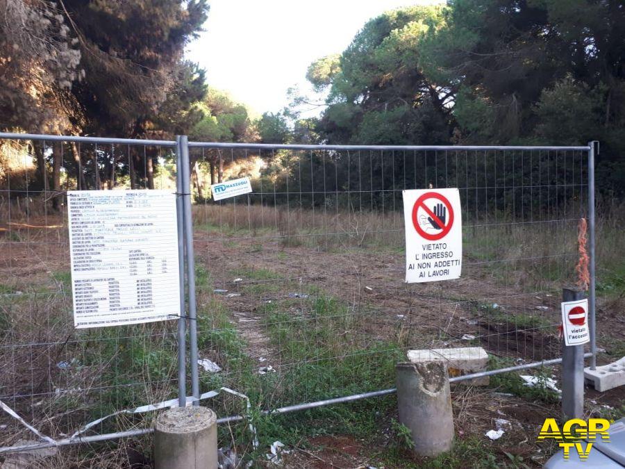 Ostia, manutenzione della pineta di Procoio, chiesta la sospensione cautelativa