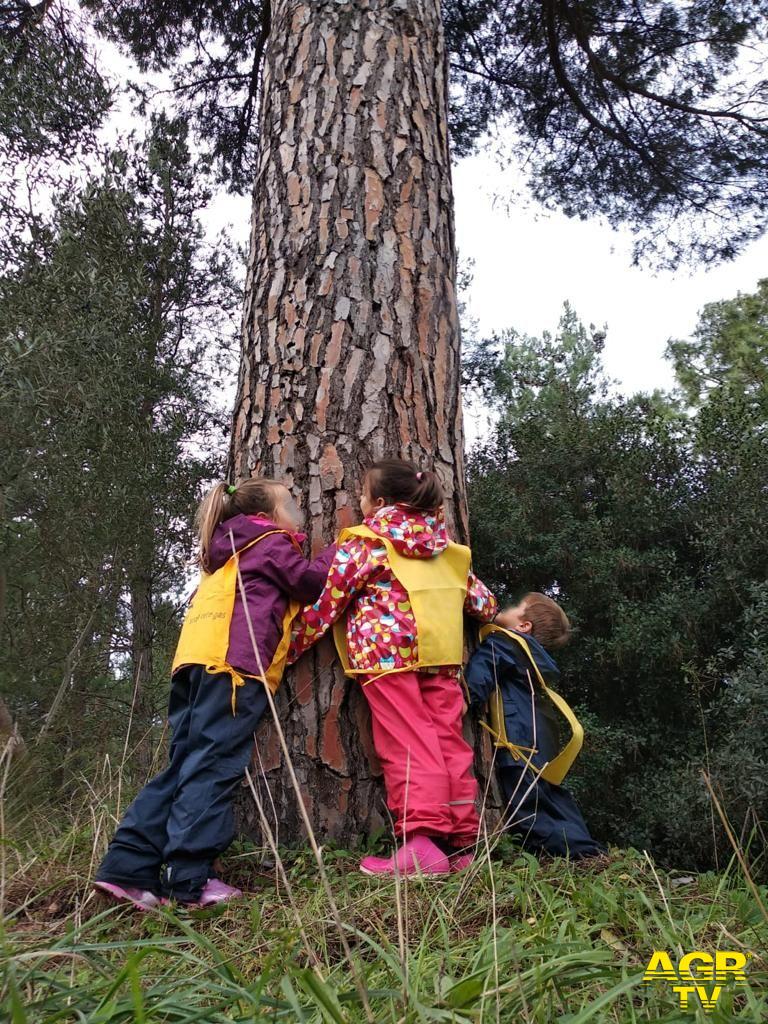 Festa dell'albero, musica e poesie con Max Gazzè