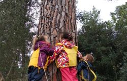 Festa dell'albero, musica e poesie con Max Gazzè