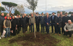 Ostia, per la giornata degli alberi piantate oltre 60 essenze a Dragoncello