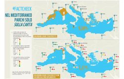 WWF boccia la tutela del Mediterraneo