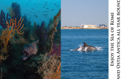 Ostia, il mare si vede solo sui manifesti....?