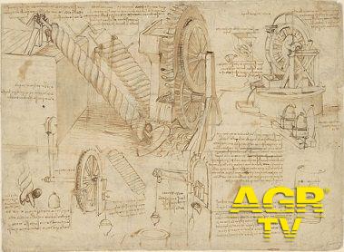 Leonardo e Michelangelo a Roma