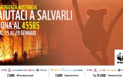 Il WWF attiva un numero solidale per l'emergenza incendi in Australia