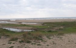 Fiumicino, la riserva naturale del litorale ha il suo piano di gestione