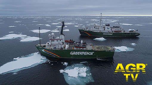 Greenpeace: Temperature record in Antartide