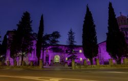 Giornata Mondiale per l’Epilessia  l’istituto Serafico di Assisi si Illumina di Viola