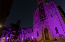 Giornata Mondiale per l’Epilessia  l’istituto Serafico di Assisi si Illumina di Viola