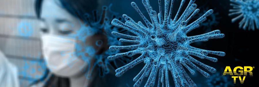 Coronavirus, dubbi, certezze e fake news