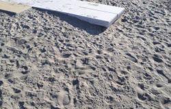 Ostia, spiagge libere colorate