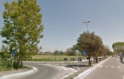 Fiumicino, nuove potature in tutto il comune