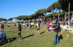 Fiumicino, al via i lavori per il rifacimento del ponte di Villa Guglielmi