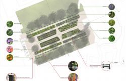 Pomezia, valorizzazione dimore e giardini storici, chiesto contributo per riqualificazione giardini Petrucci