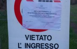 Ostia, sequestro preventivo della pineta di Procoio per gli abbattimenti programmati