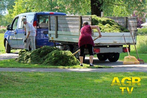 Ostia, sponsorizza un'area verde