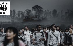 WWF Italia legame strettissimo tra  pandemie e i danni all'eco-sistema