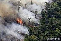 Foresta amazzonica in fiamme