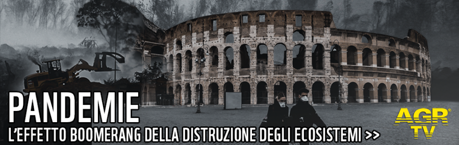 effetto boomerang distruzione ecosistemi effetto boomerang distruzione ecosistemi