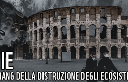 I nostri boschi e le foreste sono l'antivirus
