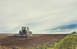 Io mangio italiano...e tu? Pomezia con Coldiretti a tutela del Made in Italy alimentare