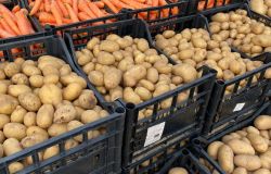 Maccarese, dall'agricoltura tanta solidarietà