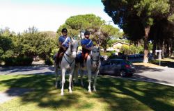 XXV Raduno Nazionale dell'ANC, domani a Cineland il Carosello storico del 4° reggimento dei Carabinieri a cavallo