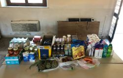 Fiumicino, da oggi via alla consegna della spesa