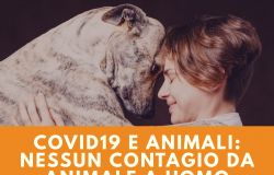 Covid-19, cani e gatti non sono fonte di contagio