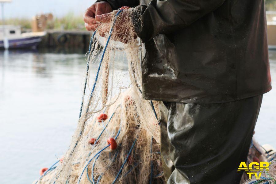 Effetto coronavirus.... sulla piccola pesca Effetto coronavirus.... sulla piccola pesca
