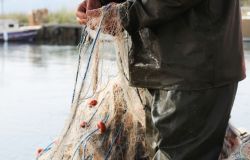 Effetto coronavirus.... sulla piccola pesca