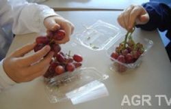 A Scuola di salute nella Primaria Alceste Grandori di Viterbo